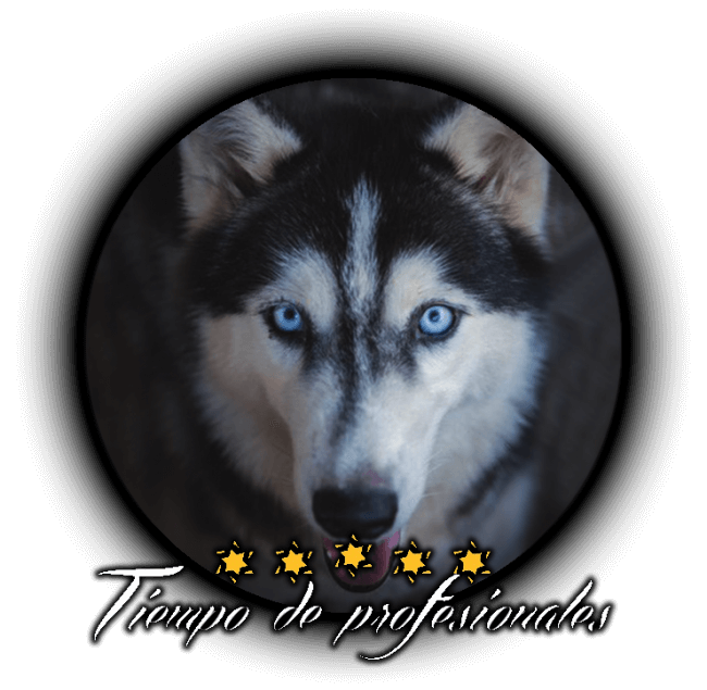 Tiempo de profesionales